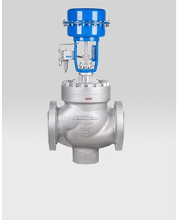 Globe Valve